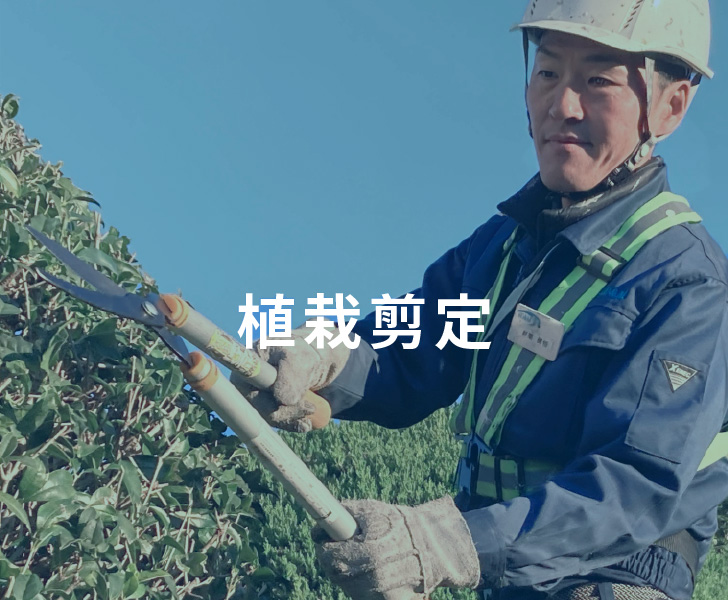 植栽剪定